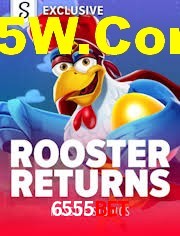 Crash Games Strategies 6555Bet